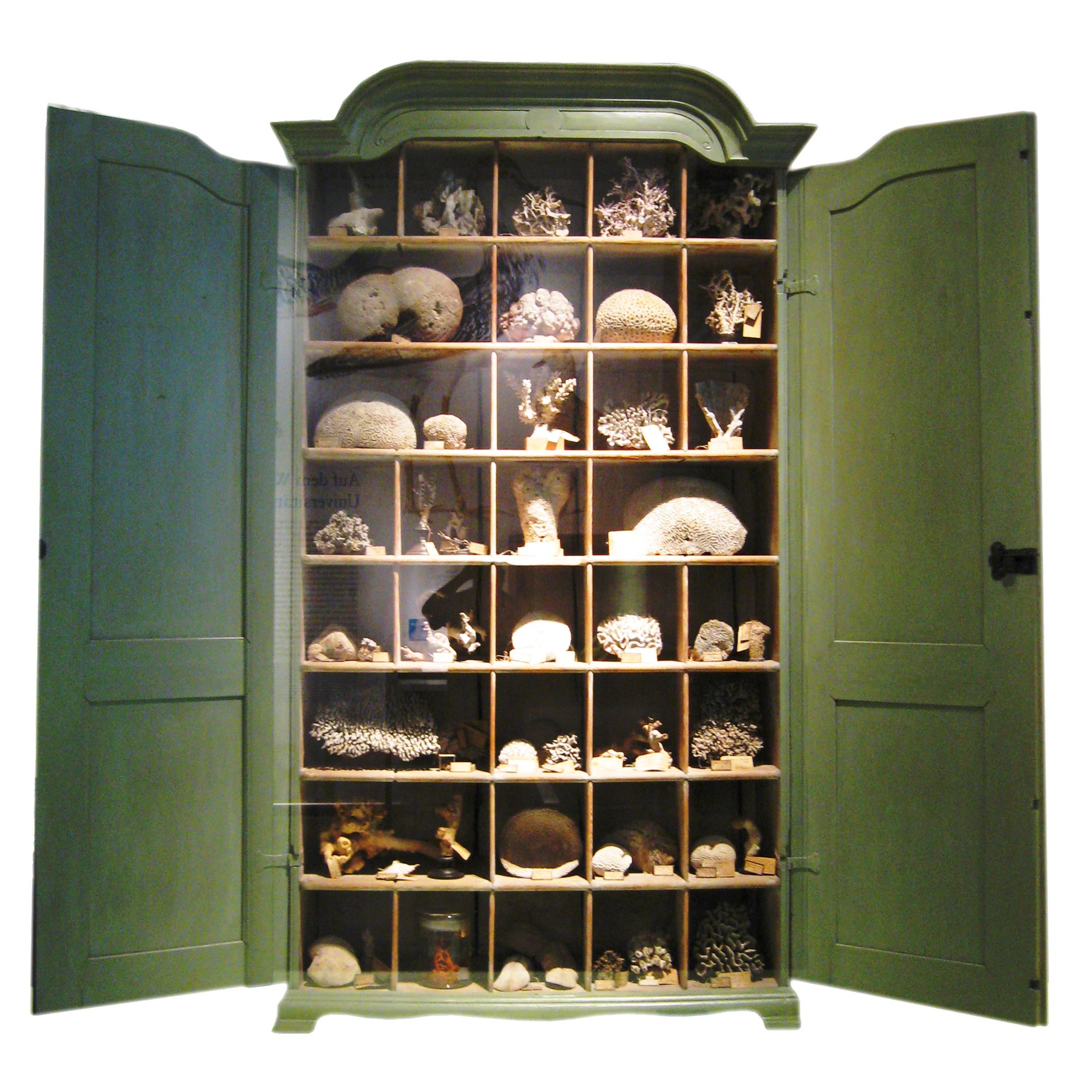 Cabinets of Curiosities: Mauriès, Patrick: 9780500022887